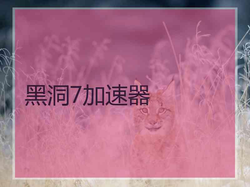 黑洞7加速器