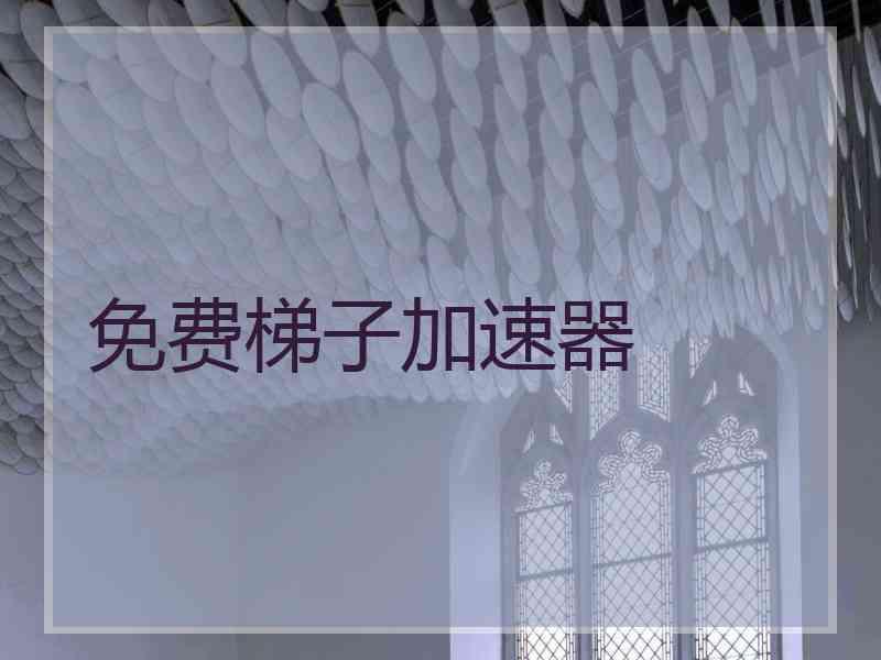 免费梯子加速器