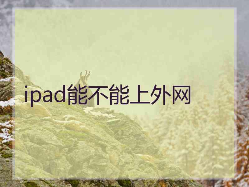 ipad能不能上外网