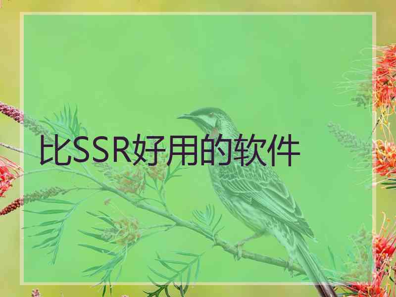 比SSR好用的软件