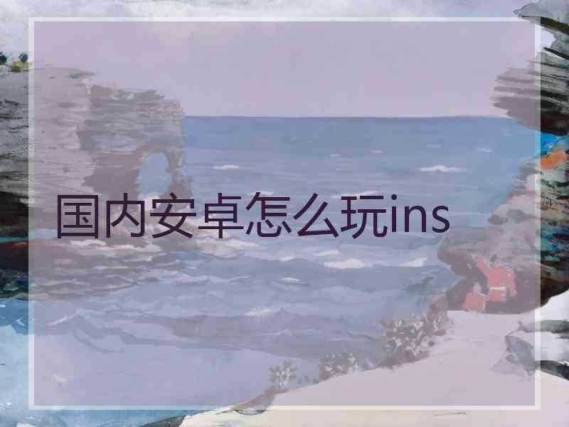 国内安卓怎么玩ins
