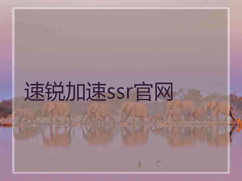 速锐加速ssr官网