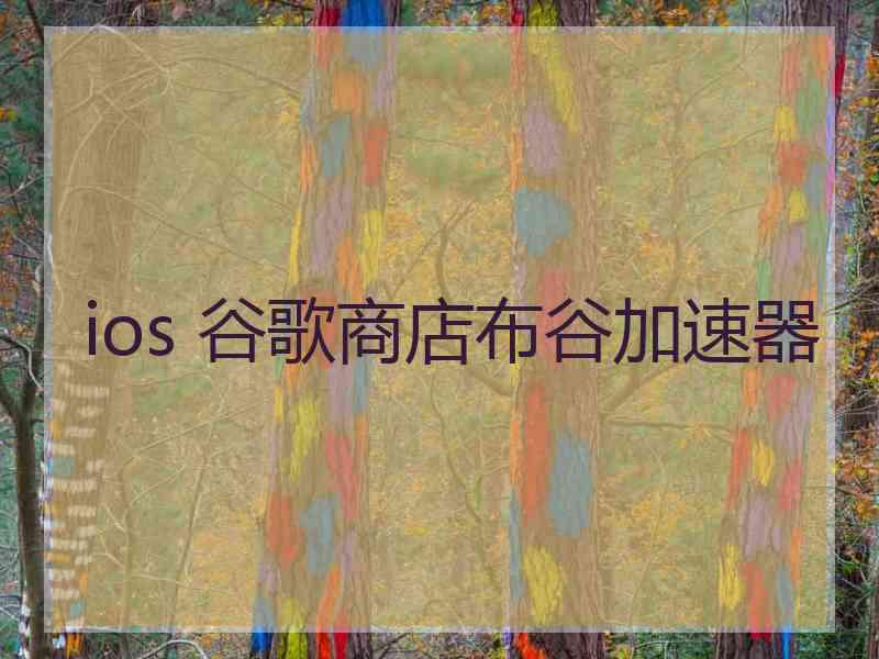 ios 谷歌商店布谷加速器
