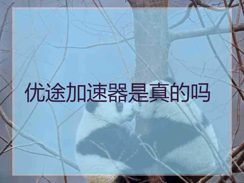 优途加速器是真的吗
