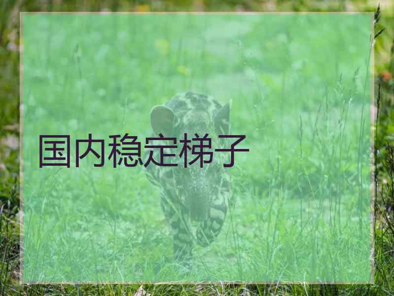国内稳定梯子