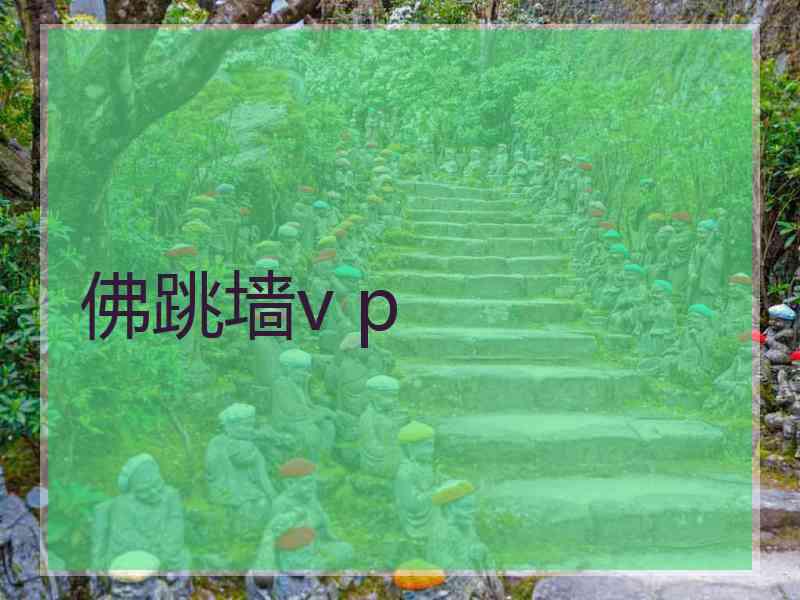 佛跳墙v p