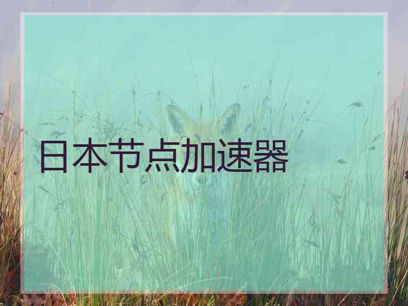 日本节点加速器