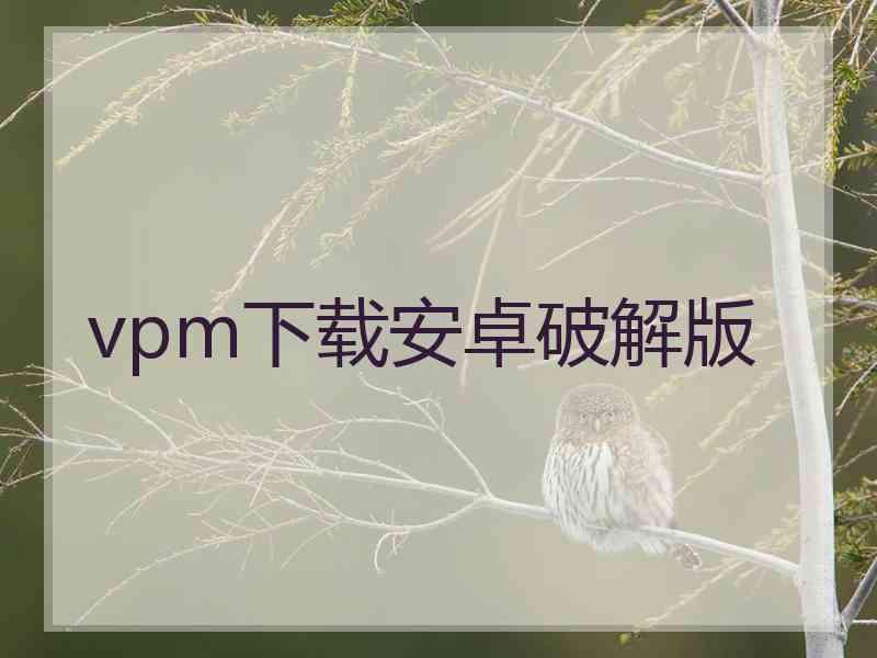 vpm下载安卓破解版