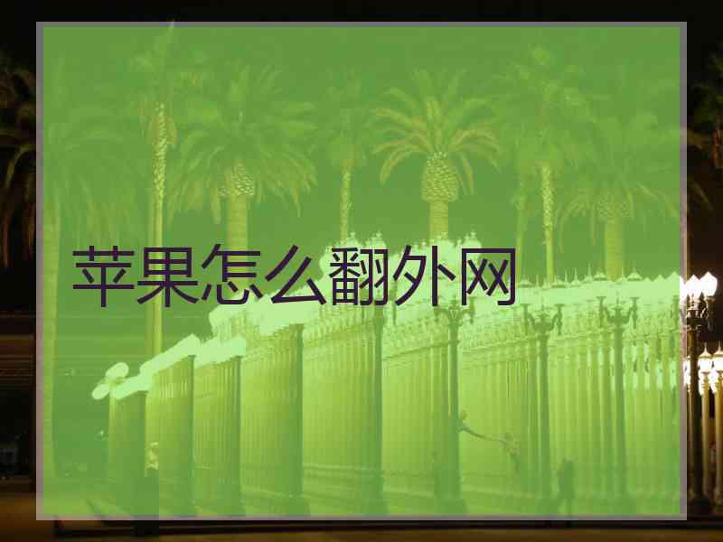 苹果怎么翻外网