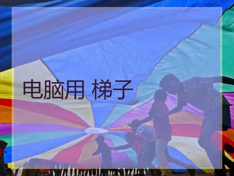 电脑用 梯子