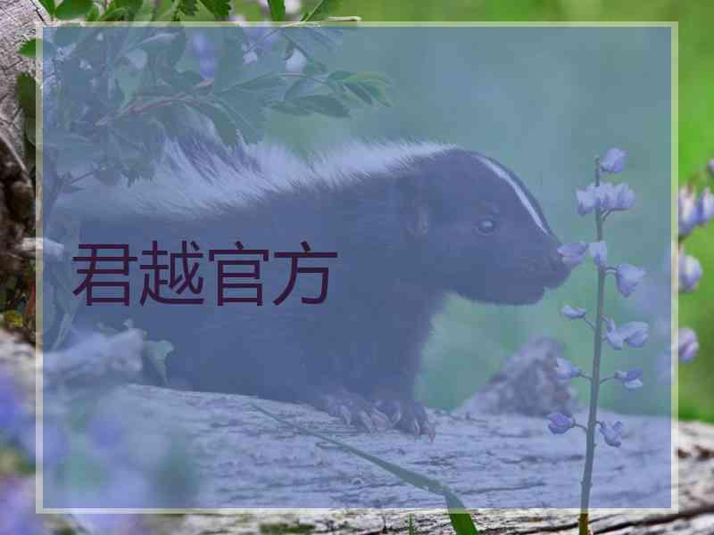 君越官方