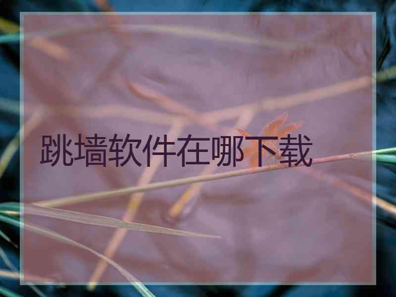跳墙软件在哪下载