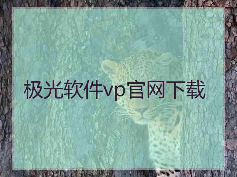 极光软件vp官网下载