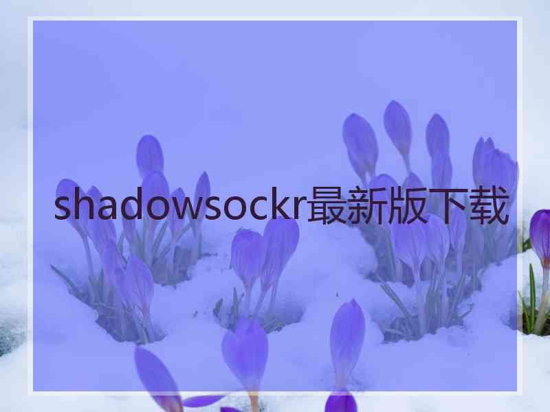 shadowsockr最新版下载