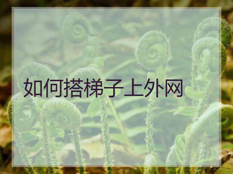 如何搭梯子上外网