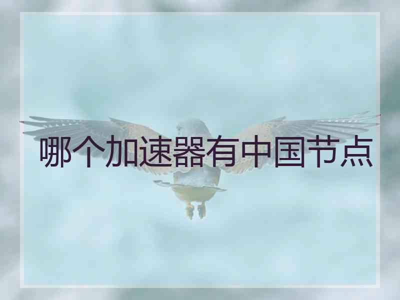 哪个加速器有中国节点