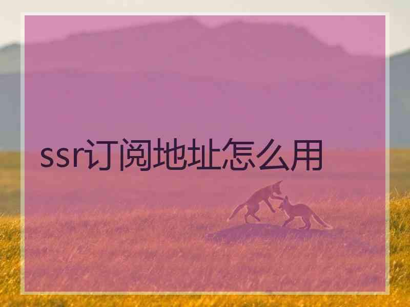 ssr订阅地址怎么用