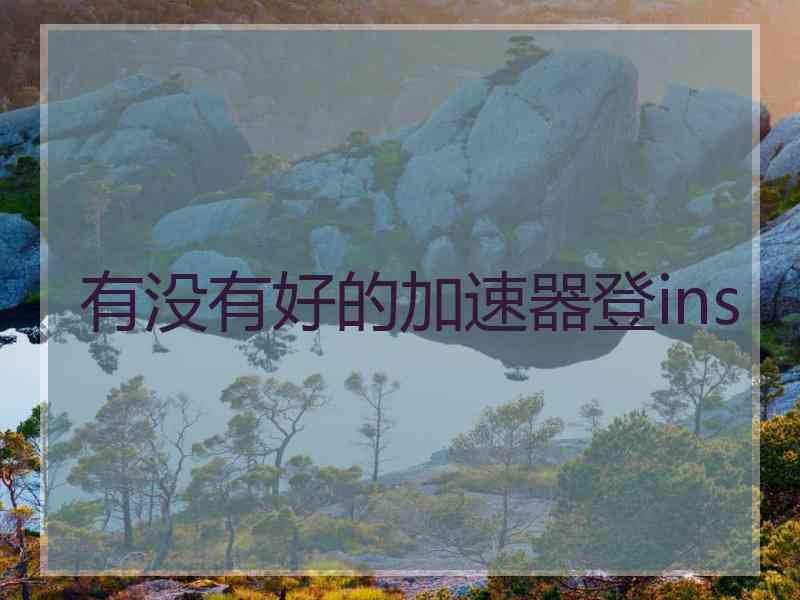 有没有好的加速器登ins