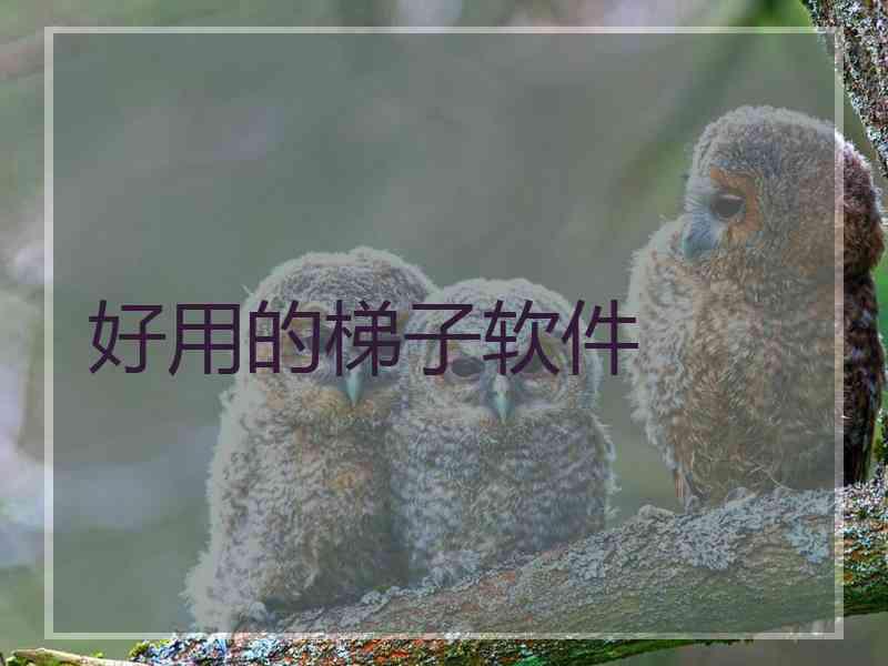 好用的梯子软件