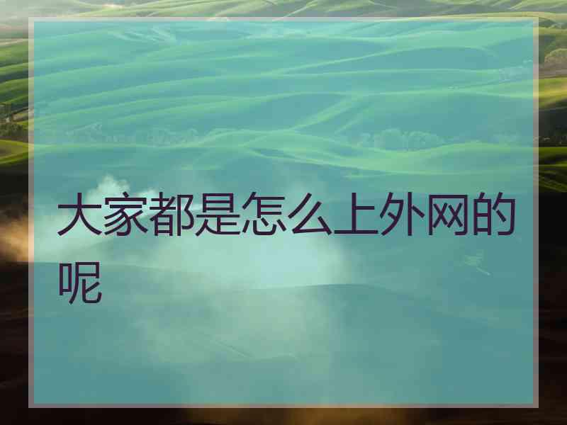 大家都是怎么上外网的呢
