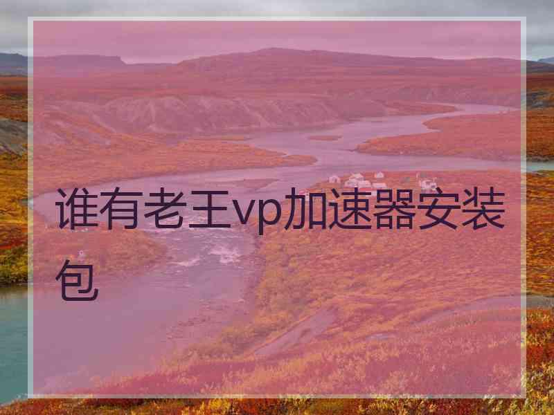 谁有老王vp加速器安装包