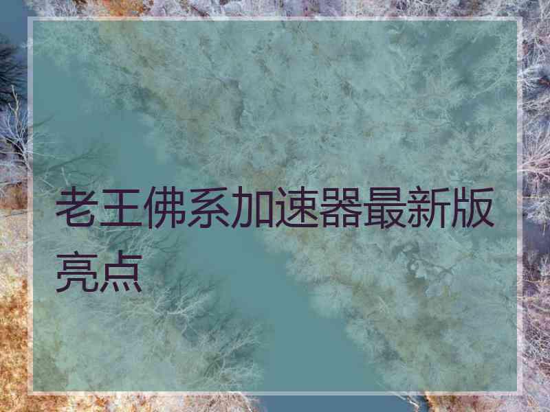 老王佛系加速器最新版亮点