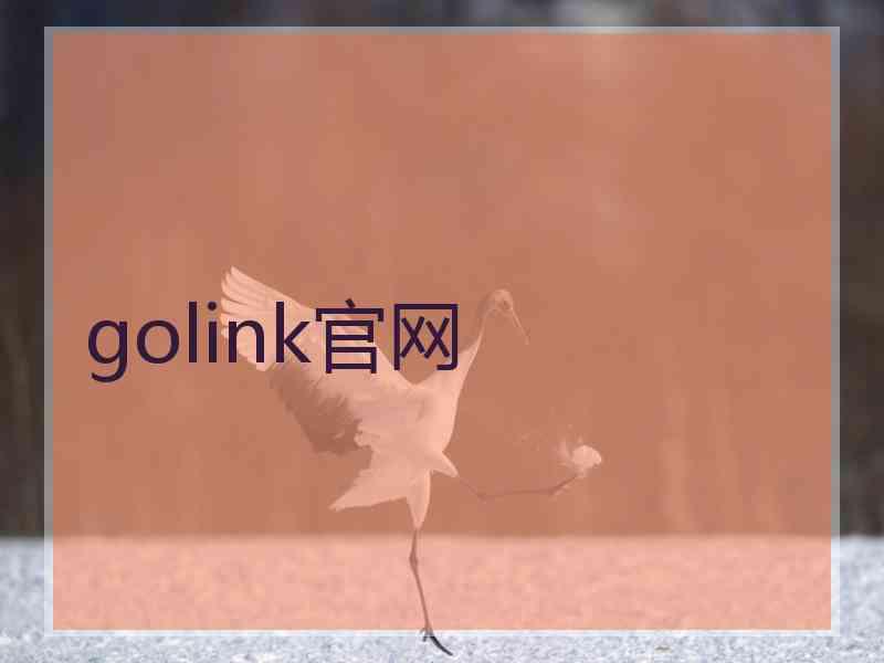 golink官网