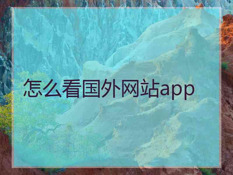 怎么看国外网站app