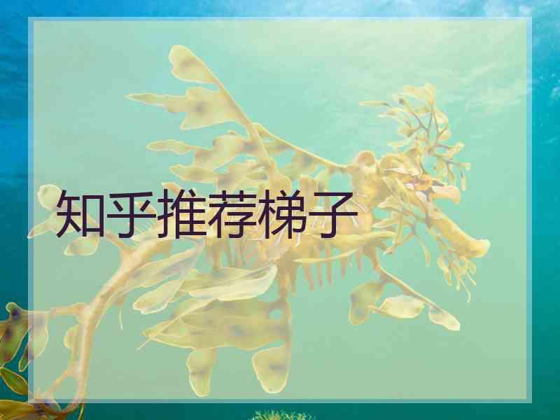 知乎推荐梯子
