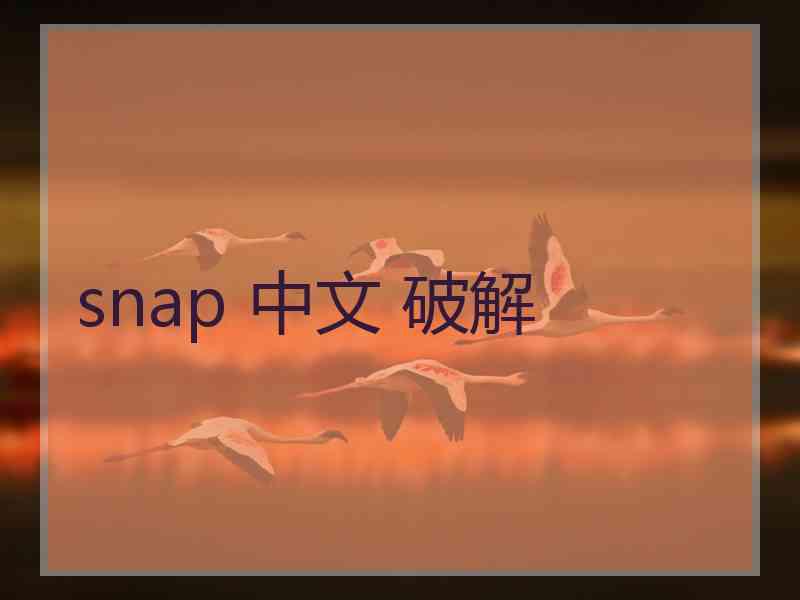 snap 中文 破解