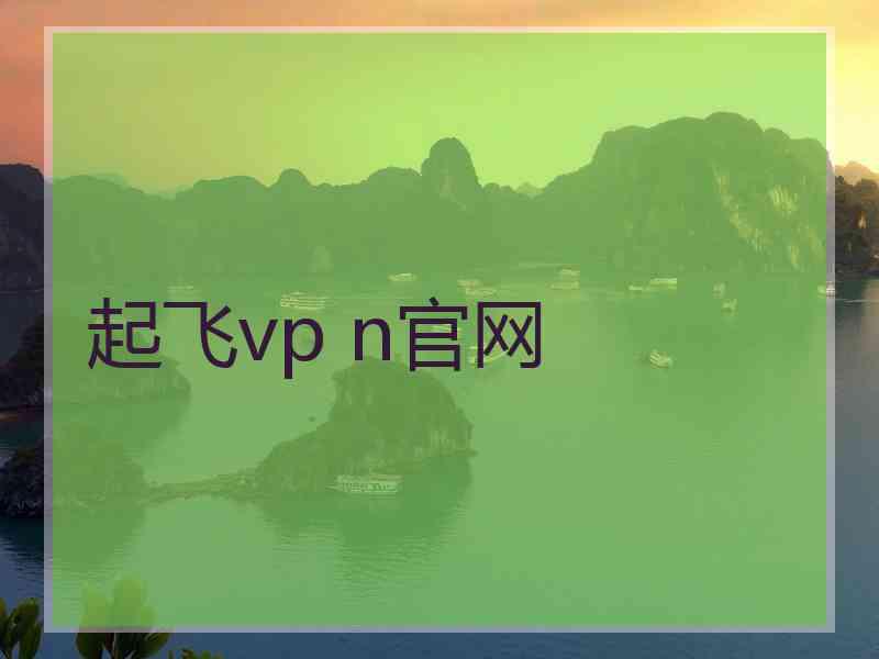 起飞vp n官网
