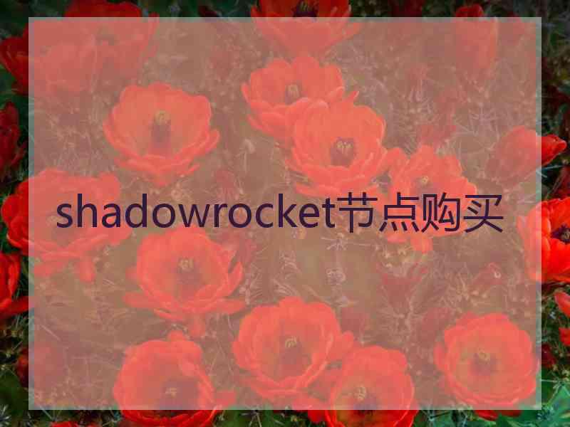 shadowrocket节点购买