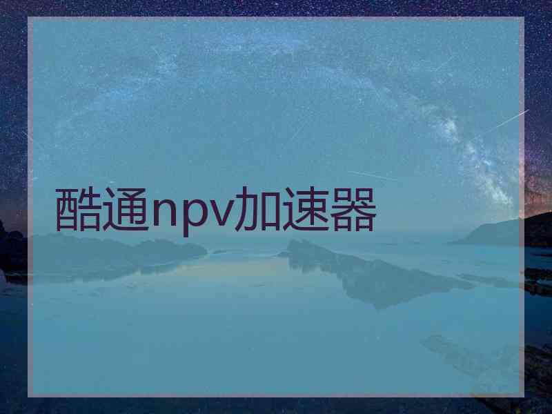 酷通npv加速器