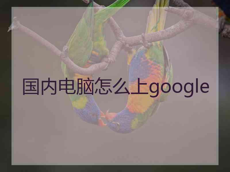 国内电脑怎么上google