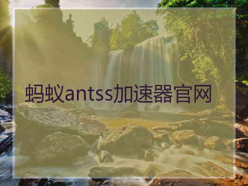 蚂蚁antss加速器官网
