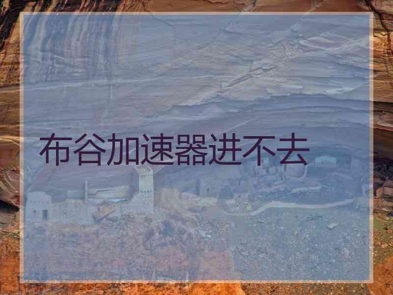 布谷加速器进不去