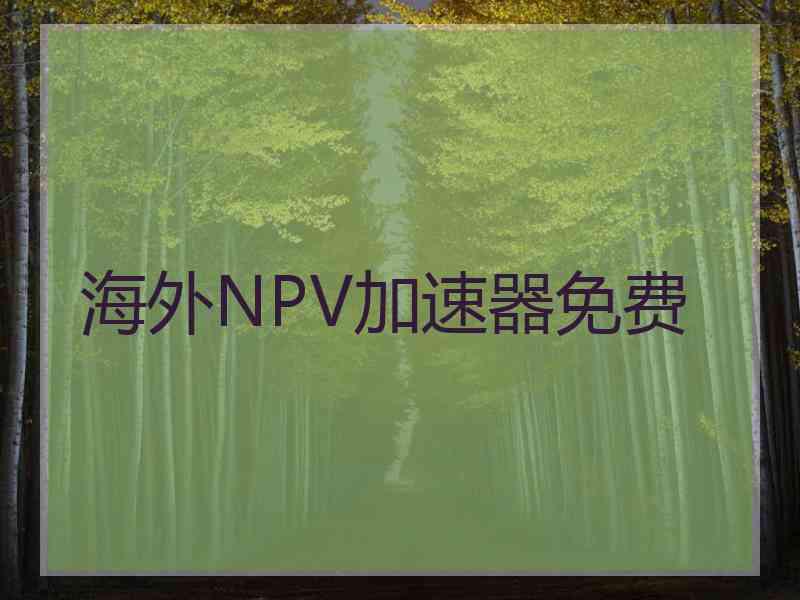 海外NPV加速器免费