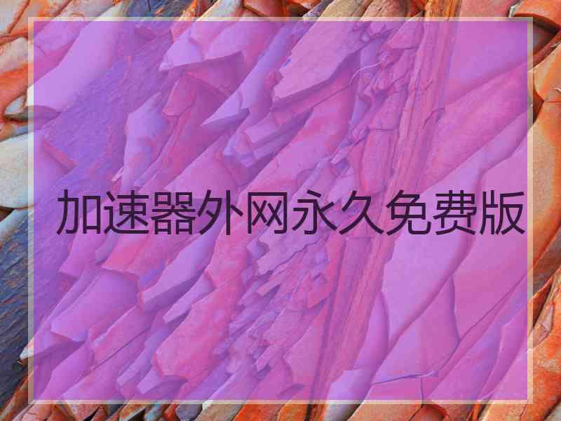 加速器外网永久免费版