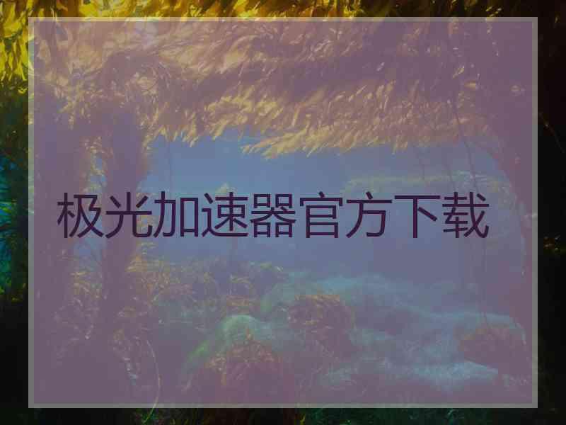 极光加速器官方下载