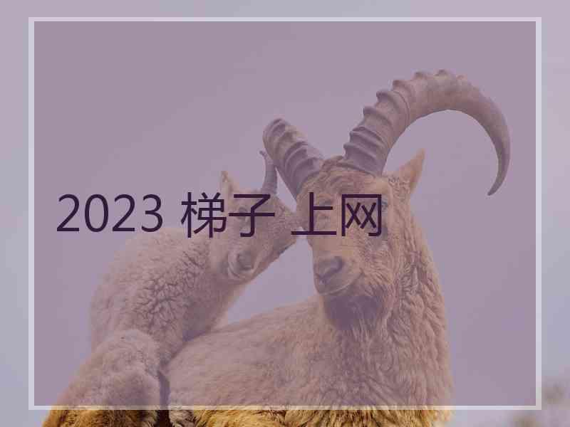 2023 梯子 上网