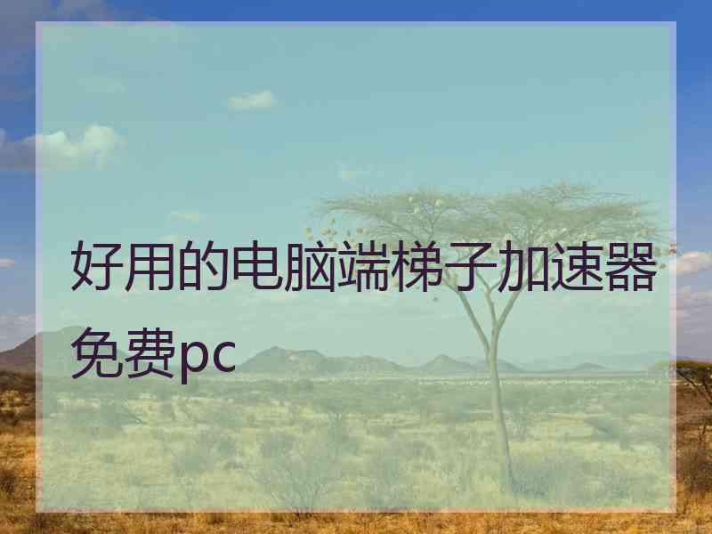 好用的电脑端梯子加速器免费pc