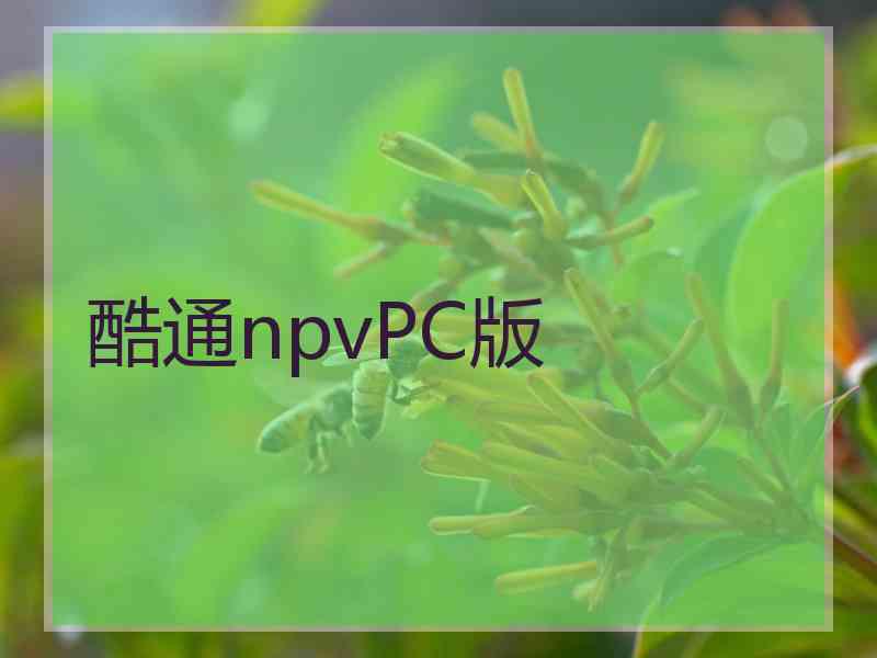 酷通npvPC版