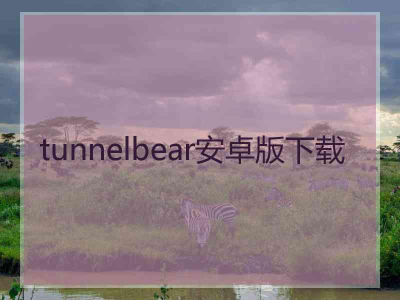 tunnelbear安卓版下载