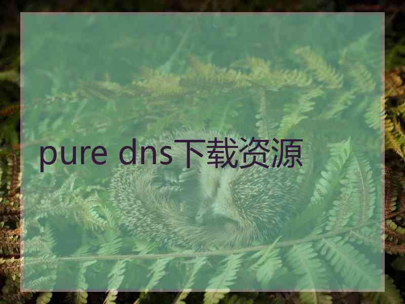 pure dns下载资源