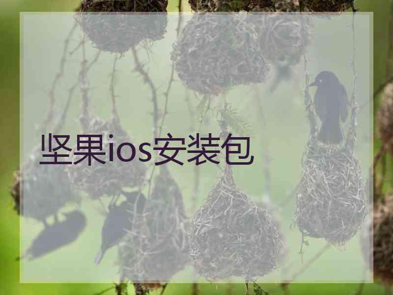 坚果ios安装包