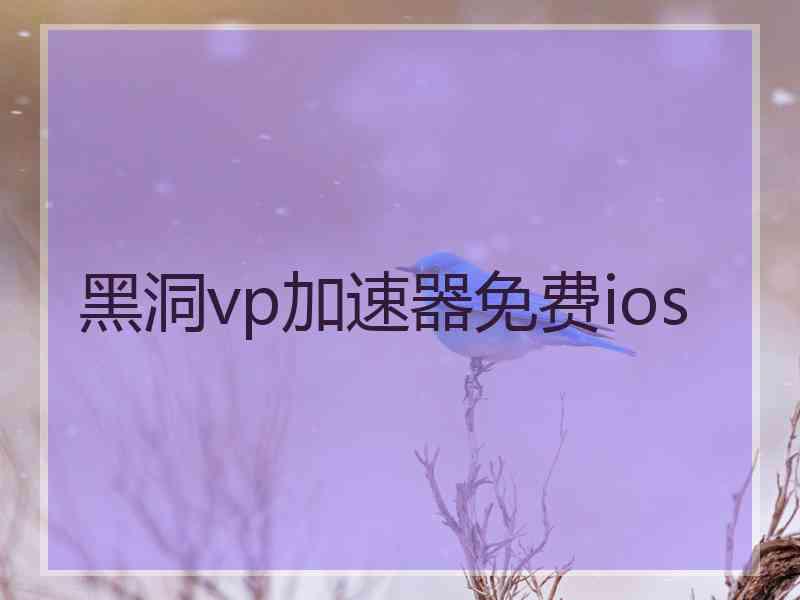 黑洞vp加速器免费ios