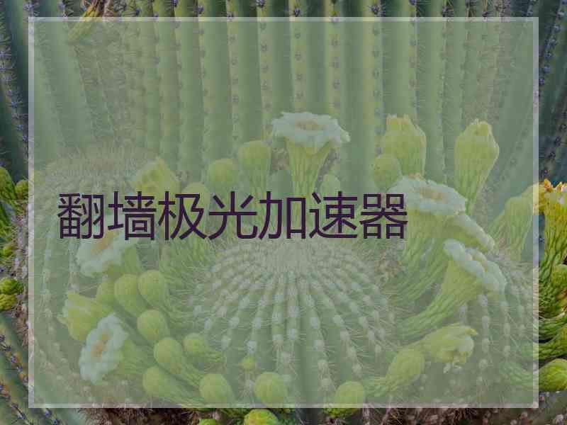 翻墙极光加速器