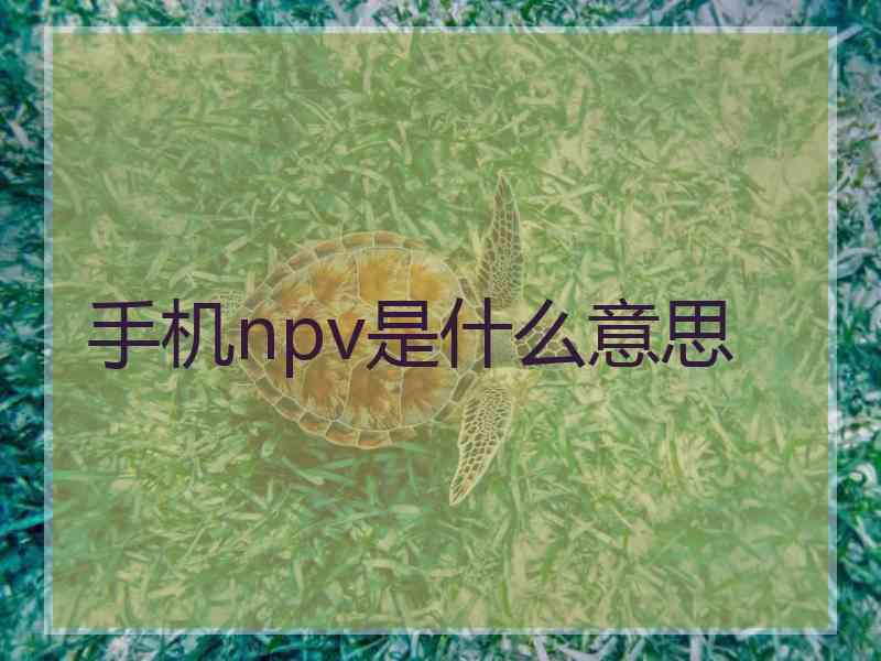 手机npv是什么意思