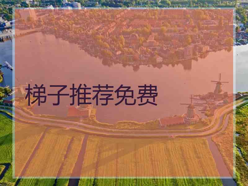 梯子推荐免费