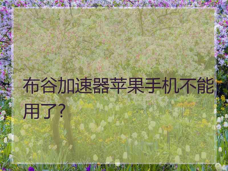 布谷加速器苹果手机不能用了?